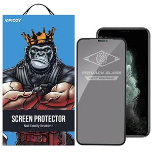 محافظ صفحه نمایش حریم شخصی اپیکوی مدل PvSight مناسب برای گوشی موبایل اپل iPhone 11 Pro / XS / X