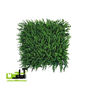 دیوار سبز مدل ویولت پررنگ BR8401-1