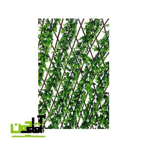 آکاردئونی گلدار ویولت