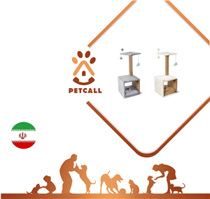 اسکرچر نیناپت گربه کد A