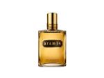 ادو تویلت مردانه آرامیس مدل Aramis EDT