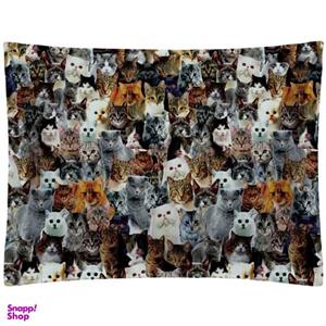 روبالشی رنس مدل P1-10052 سایز 50x70