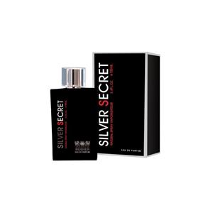 ادو پرفیوم مردانه رودیر مدل Silver Secret حجم 100 میلی لیتر Rodier Silver Secret Eau De Parfum For Men 100ml