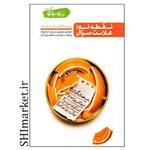 کتاب نقطه نه علامت سوال اثر محسن عباسی ولدی انتشارات آیین فطرت