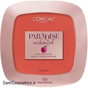 رژگونه کرمی لورآل | LOreal مدل Paradise Enchanted رنگ 191 (Fantastical) 