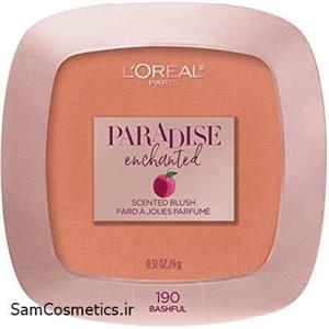 رژگونه کرمی لورآل | LOreal مدل Paradise Enchanted رنگ 190 (Bashful) 