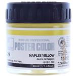 گواش زرد ناپل (Naples Yellow) کد 29  شین هان