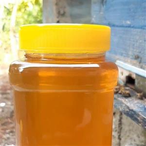 عسل بهار مرکبات گیلان