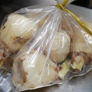 پیاز عنصل یک عدد