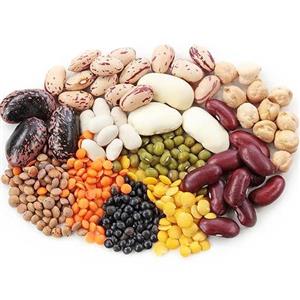 بذر لوبیا میکس 20 عددی