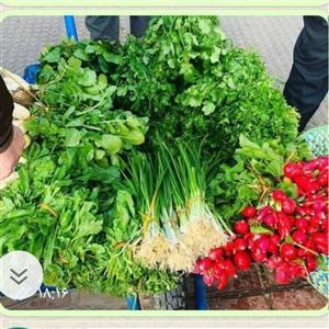 سبزی خوردن تازه خانگی نمونه 041