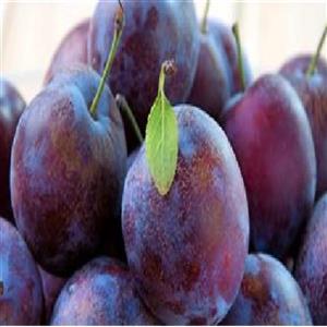اسانس مایع خوراکی آلو سیاه برند آلمانی در بسته 200 گرمی
