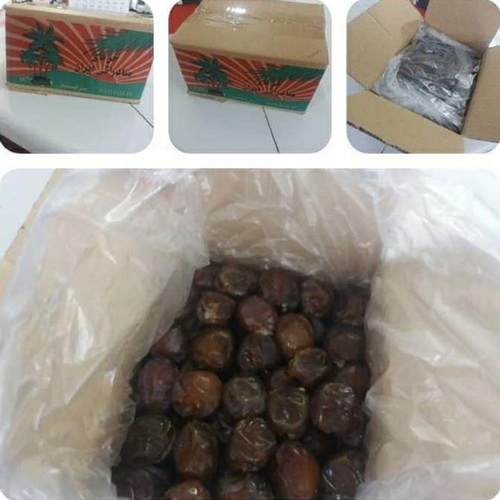 خرمای خاصویی