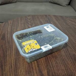 عسل کاملا طبیعی با موم دارویی سپی سنگ کردستان شهر مهاباد
