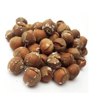 فندق اشکورات گیلان