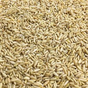 مغزچلغوز50 گرم( کشیده و درشت)