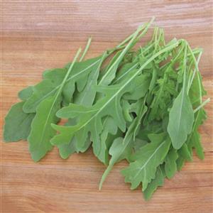 بذر راکولا باغی (سالادی) 100 عددی