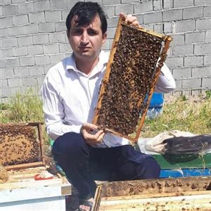 عسل بهاره یک کیلو
