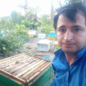 عسل۱۰۰۰گرمی  مرکبات و بهار نارنج با موم
