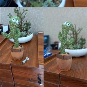 کاکتوس سخنگو و تقلید صدا