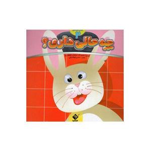 کتاب آینه ای چه حالی داری؟2 (کتاب شعر) اثر محسن فولاد شکن انتشارات جابیرو