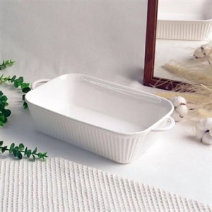 مرغ خوری مستطیل سرامیکی