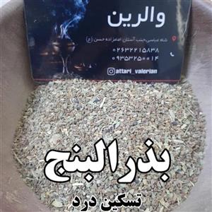 بذرالبنج (دانه بنج) بنجدانه 