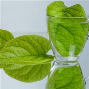 برگ خشک به با کیفیت(عرضه اولیه)