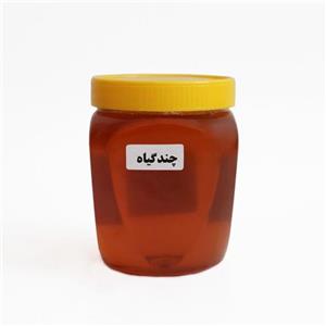 عسل چند گیاه طبیعی نیم کیلویی