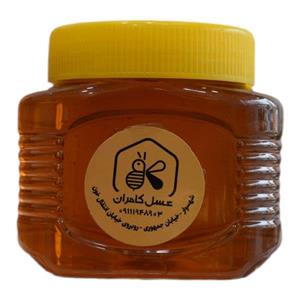 عسل نیم کیلویی کوهی