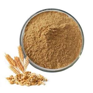 پودر جوانه گندم ( نرم ) اعلا یک سیر