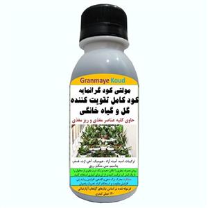 کود مایع کامل آلیومعدنی تقویت کننده گل و گیاه خانگی مدلMultiPlus  حجم 120 میلی لیتر