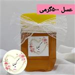 عسل کوهی گیلسا (500 گرم)