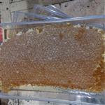 عسل طبیعی کردستان کیفیت خوب