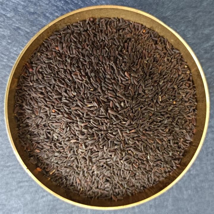 تخم بالنگو