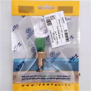 فشنگی آب پژو 206 و 207 سامفر سبز دو پایه بهترین برند ایرانی