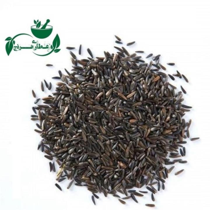 تخم بالنگو