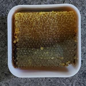 عسل بهاره خلخال نیم کیلویی