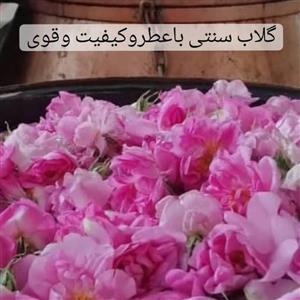 گلاب ممتاز خالص وطبیعی بدون ذره ای اسانس شیمیایی