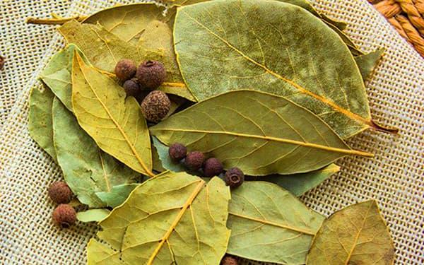 برگ بو فله ای