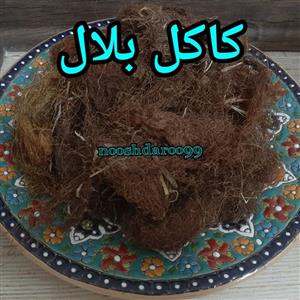 کاکل بلال 5 کیلویی