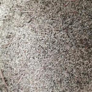 آویشن شیرازی اعلا75 گرم ZATAR LEAVES - أوراق زعتر