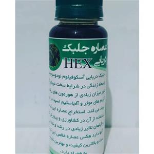 کود عصاره جلبک دریایی HEX مایع بسته بندی 100 سی سی