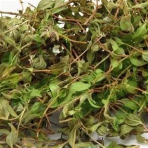 کاکوتی خشک معطر امسالی  250 گرمی