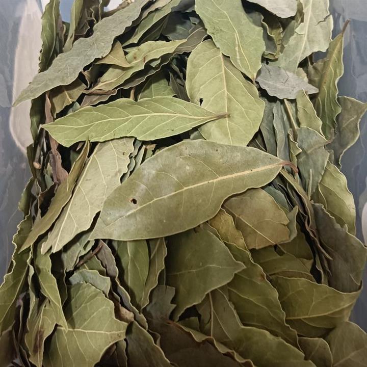 برگ بو فله ای