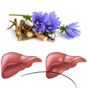 برگ کاسنی خشک درجه یک پاک شده بسته 100گرمی