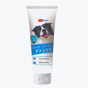 خمیر مولتی ویتامین سگ پت آلپین مدل  multi paste وزن 100 گرم