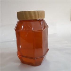 عسل نمدار طبیعی شمال (جنگل های هیرکانی)