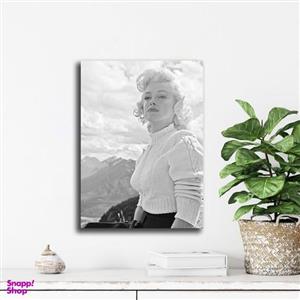 تابلو شاسی آتریسا مدل مرلین مونرو