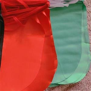 10 عدد ریسه پرچمی سبز